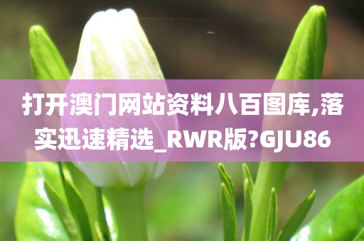 打开澳门网站资料八百图库,落实迅速精选_RWR版?GJU86