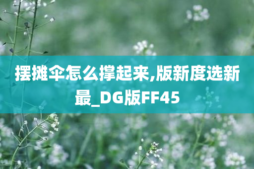 摆摊伞怎么撑起来,版新度选新最_DG版FF45