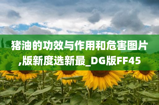 猪油的功效与作用和危害图片,版新度选新最_DG版FF45