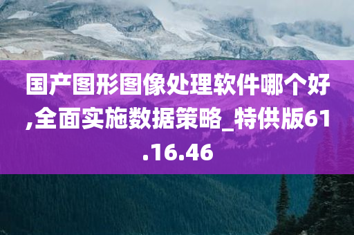 国产图形图像处理软件哪个好,全面实施数据策略_特供版61.16.46