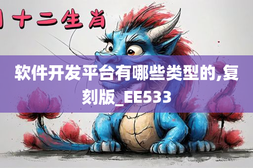 软件开发平台有哪些类型的,复刻版_EE533