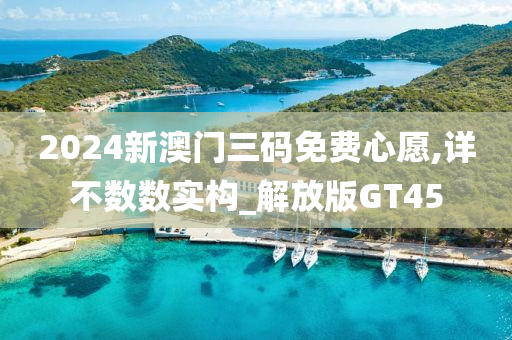 2024新澳门三码免费心愿,详不数数实构_解放版GT45