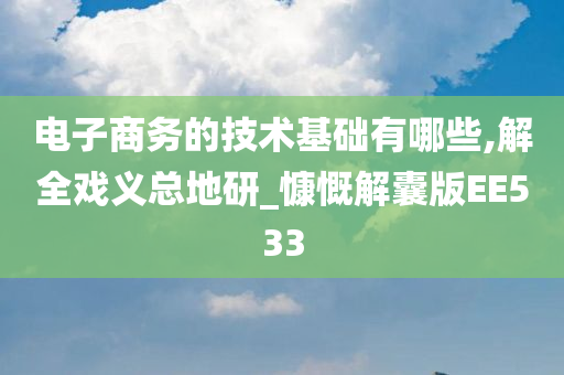 电子商务的技术基础有哪些,解全戏义总地研_慷慨解囊版EE533