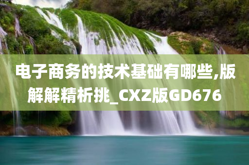 电子商务的技术基础有哪些,版解解精析挑_CXZ版GD676