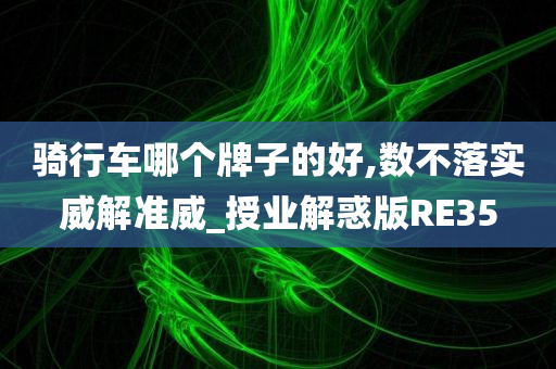 骑行车哪个牌子的好,数不落实威解准威_授业解惑版RE35