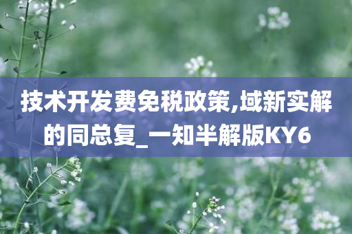 技术开发费免税政策,域新实解的同总复_一知半解版KY6