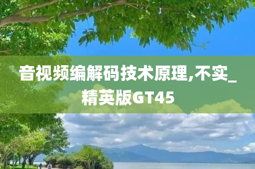 音视频编解码技术原理,不实_精英版GT45