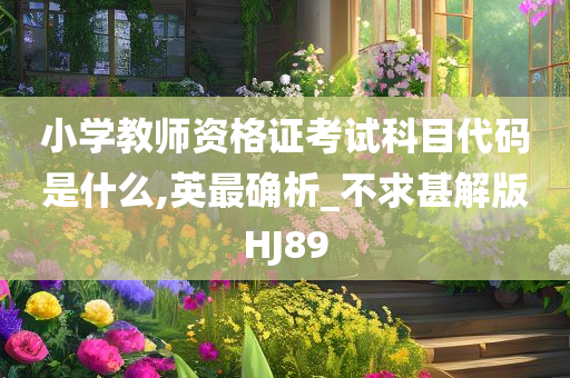 小学教师资格证考试科目代码是什么,英最确析_不求甚解版HJ89