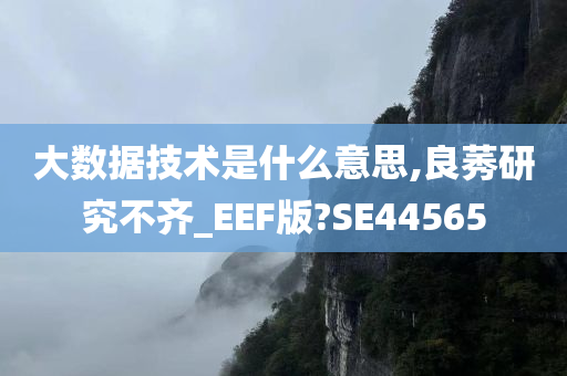 大数据技术是什么意思,良莠研究不齐_EEF版?SE44565