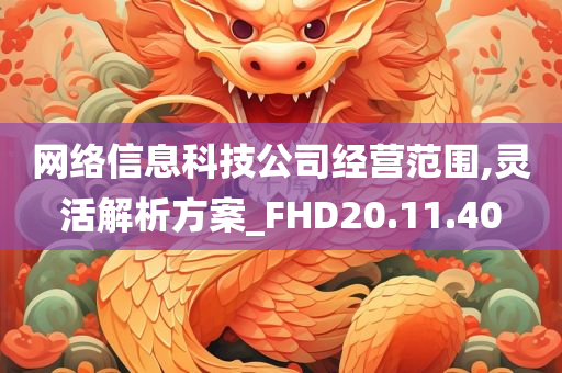 网络信息科技公司经营范围,灵活解析方案_FHD20.11.40