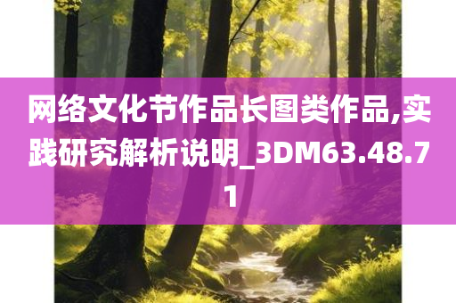 网络文化节作品长图类作品,实践研究解析说明_3DM63.48.71