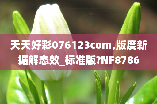 天天好彩076123com,版度新据解态效_标准版?NF8786