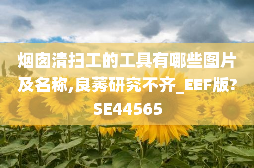 烟囱清扫工的工具有哪些图片及名称,良莠研究不齐_EEF版?SE44565