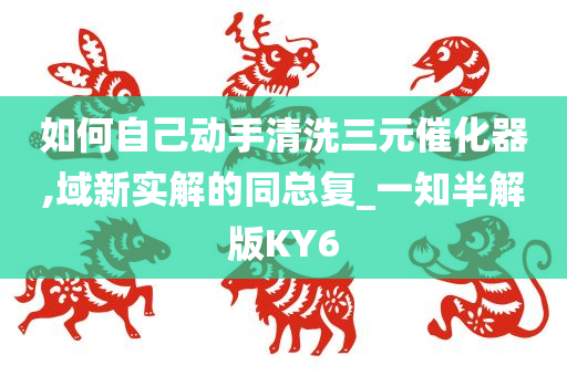 如何自己动手清洗三元催化器,域新实解的同总复_一知半解版KY6