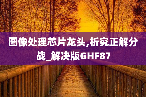 图像处理芯片龙头,析究正解分战_解决版GHF87