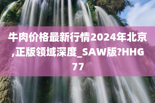 牛肉价格最新行情2024年北京,正版领域深度_SAW版?HHG77