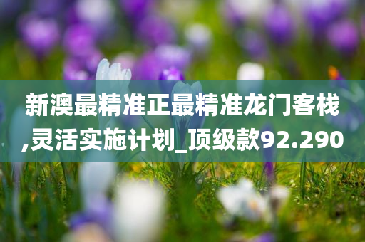 新澳最精准正最精准龙门客栈,灵活实施计划_顶级款92.290