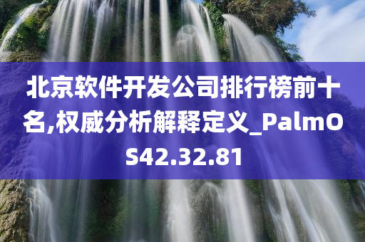 北京软件开发公司排行榜前十名,权威分析解释定义_PalmOS42.32.81