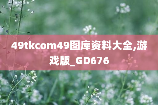 49tkcom49图库资料大全,游戏版_GD676