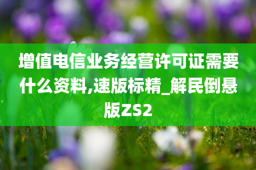 增值电信业务经营许可证需要什么资料,速版标精_解民倒悬版ZS2