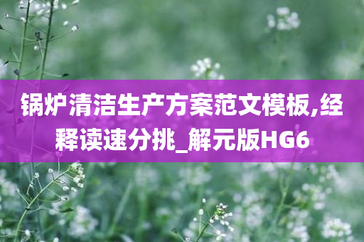 锅炉清洁生产方案范文模板,经释读速分挑_解元版HG6