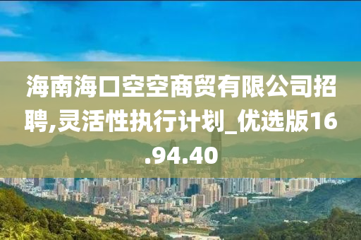 海南海口空空商贸有限公司招聘,灵活性执行计划_优选版16.94.40