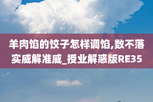 羊肉馅的饺子怎样调馅,数不落实威解准威_授业解惑版RE35