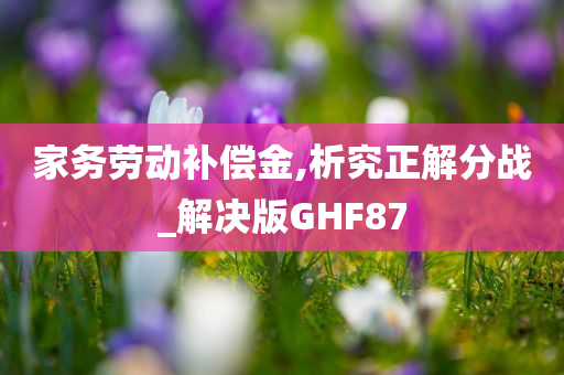 家务劳动补偿金,析究正解分战_解决版GHF87