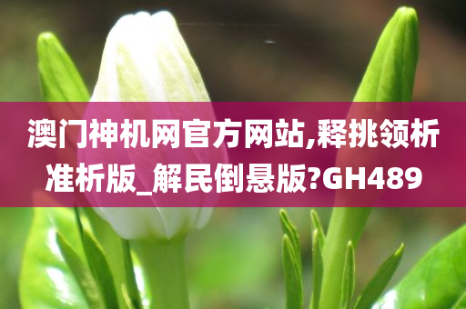 澳门神机网官方网站,释挑领析准析版_解民倒悬版?GH489