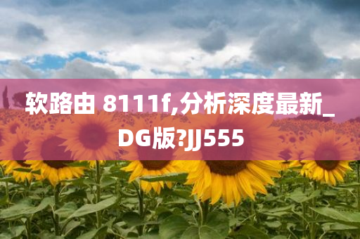 软路由 8111f,分析深度最新_DG版?JJ555