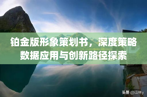 铂金版形象策划书，深度策略数据应用与创新路径探索