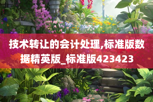 技术转让的会计处理,标准版数据精英版_标准版423423