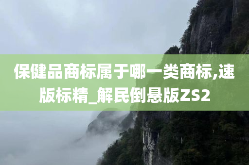 保健品商标属于哪一类商标,速版标精_解民倒悬版ZS2