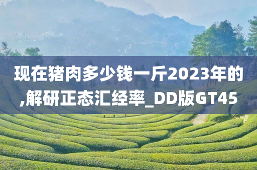 现在猪肉多少钱一斤2023年的,解研正态汇经率_DD版GT45