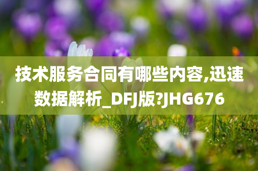 技术服务合同有哪些内容,迅速数据解析_DFJ版?JHG676