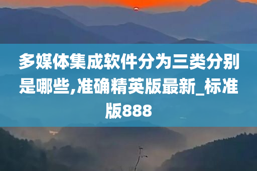 多媒体集成软件分为三类分别是哪些,准确精英版最新_标准版888