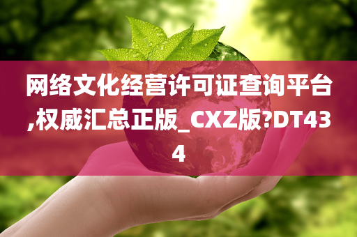 网络文化经营许可证查询平台,权威汇总正版_CXZ版?DT434