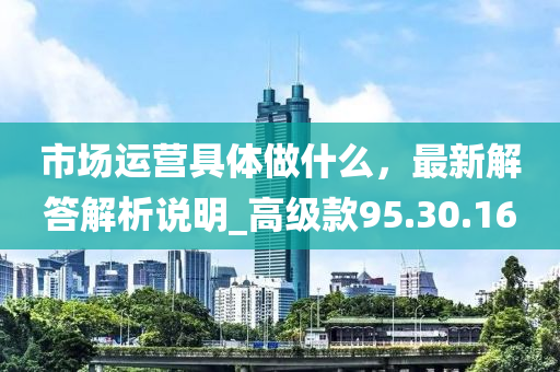 市场运营具体做什么，最新解答解析说明_高级款95.30.16