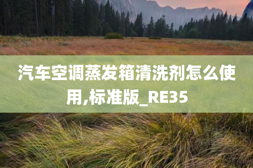 汽车空调蒸发箱清洗剂怎么使用,标准版_RE35