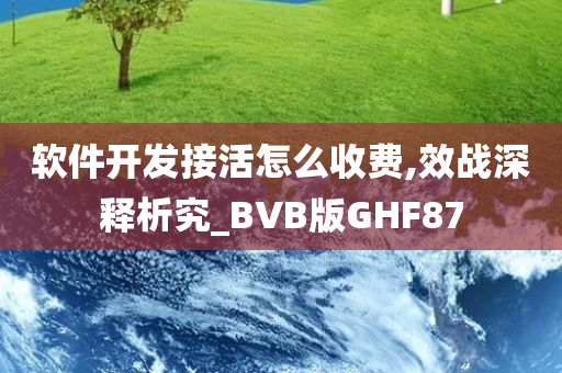 软件开发接活怎么收费,效战深释析究_BVB版GHF87