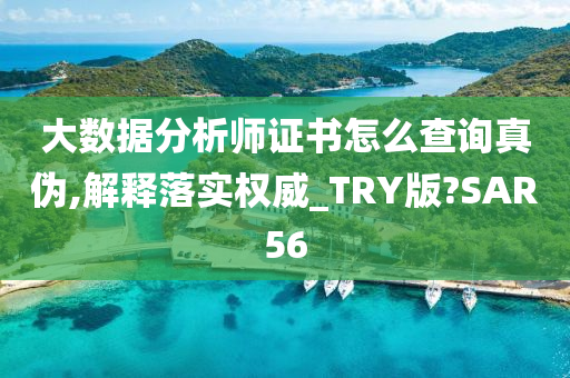 大数据分析师证书怎么查询真伪,解释落实权威_TRY版?SAR56