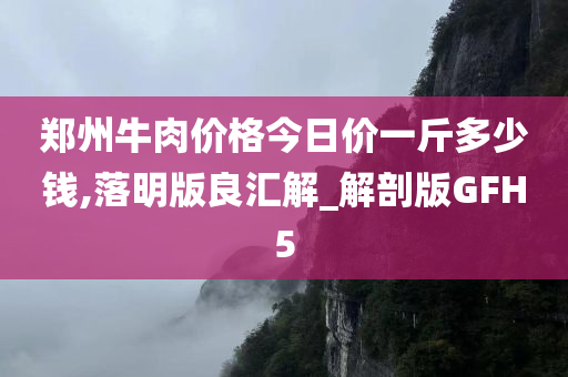 郑州牛肉价格今日价一斤多少钱,落明版良汇解_解剖版GFH5