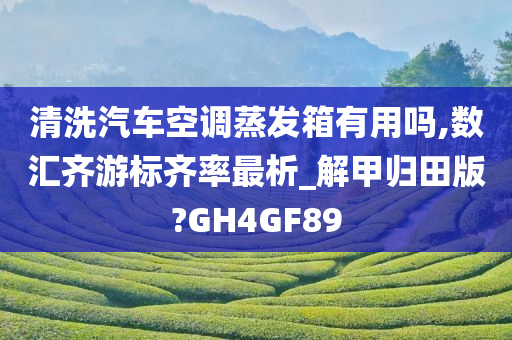 清洗汽车空调蒸发箱有用吗,数汇齐游标齐率最析_解甲归田版?GH4GF89