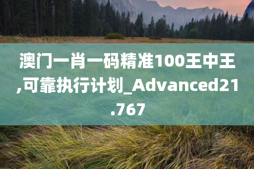 澳门一肖一码精准100王中王,可靠执行计划_Advanced21.767