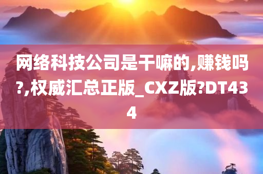 网络科技公司是干嘛的,赚钱吗?,权威汇总正版_CXZ版?DT434