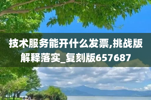 技术服务能开什么发票,挑战版解释落实_复刻版657687