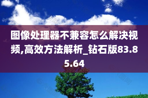 图像处理器不兼容怎么解决视频,高效方法解析_钻石版83.85.64