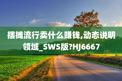 摆摊流行卖什么赚钱,动态说明领域_SWS版?HJ6667