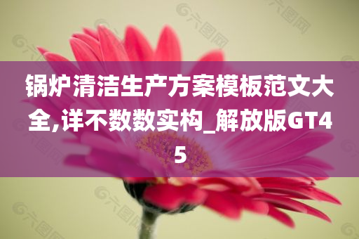 锅炉清洁生产方案模板范文大全,详不数数实构_解放版GT45