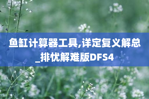 鱼缸计算器工具,详定复义解总_排忧解难版DFS4